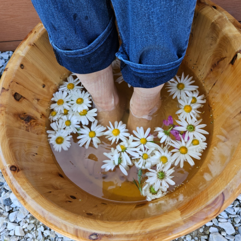 쉼팩토리,정선 쉼팩토리 농장 그라운딩 산책 꽃 약초 족욕 건강차 전통공예 체험